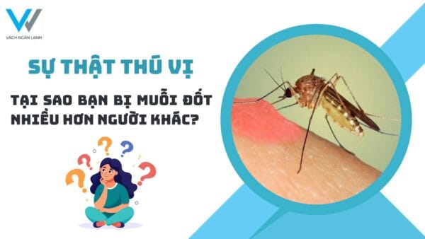 Bảo vệ sức khỏe