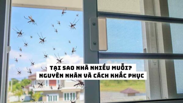 tại sao nhà nhiều muỗi