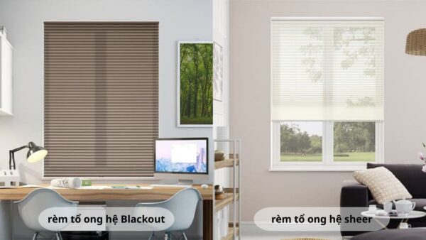 Rèm tổ ong Sheer và Blackout